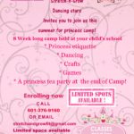 2017 princess camp all schools poster